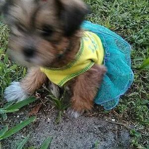 Meet your Posher, Juan